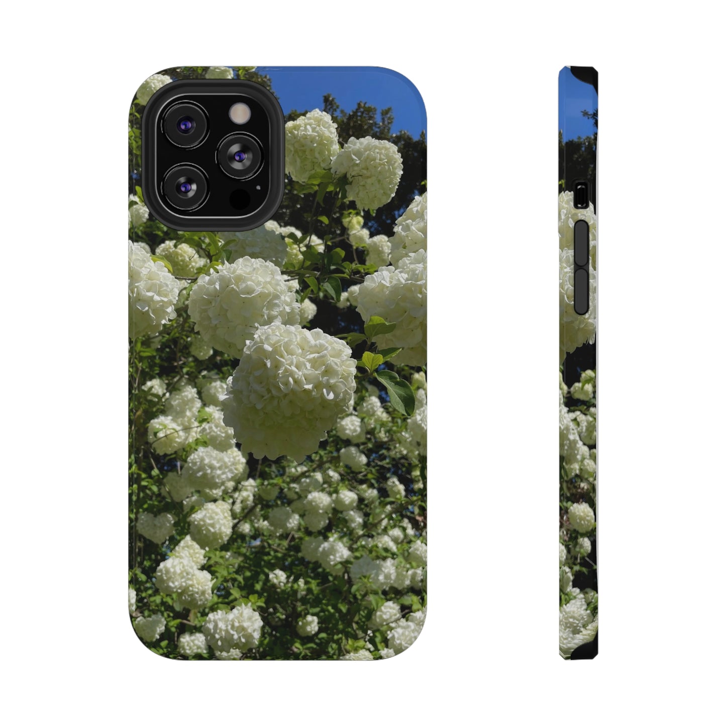 Hydrangea : Impact-Resistant Case