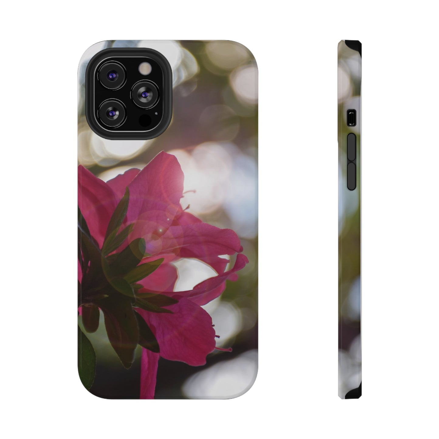 Spring : Impact-Resistant Case