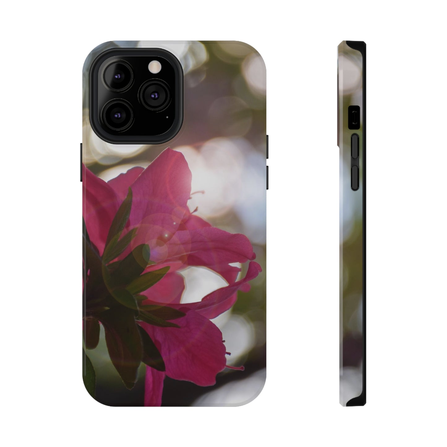 Spring : Impact-Resistant Case