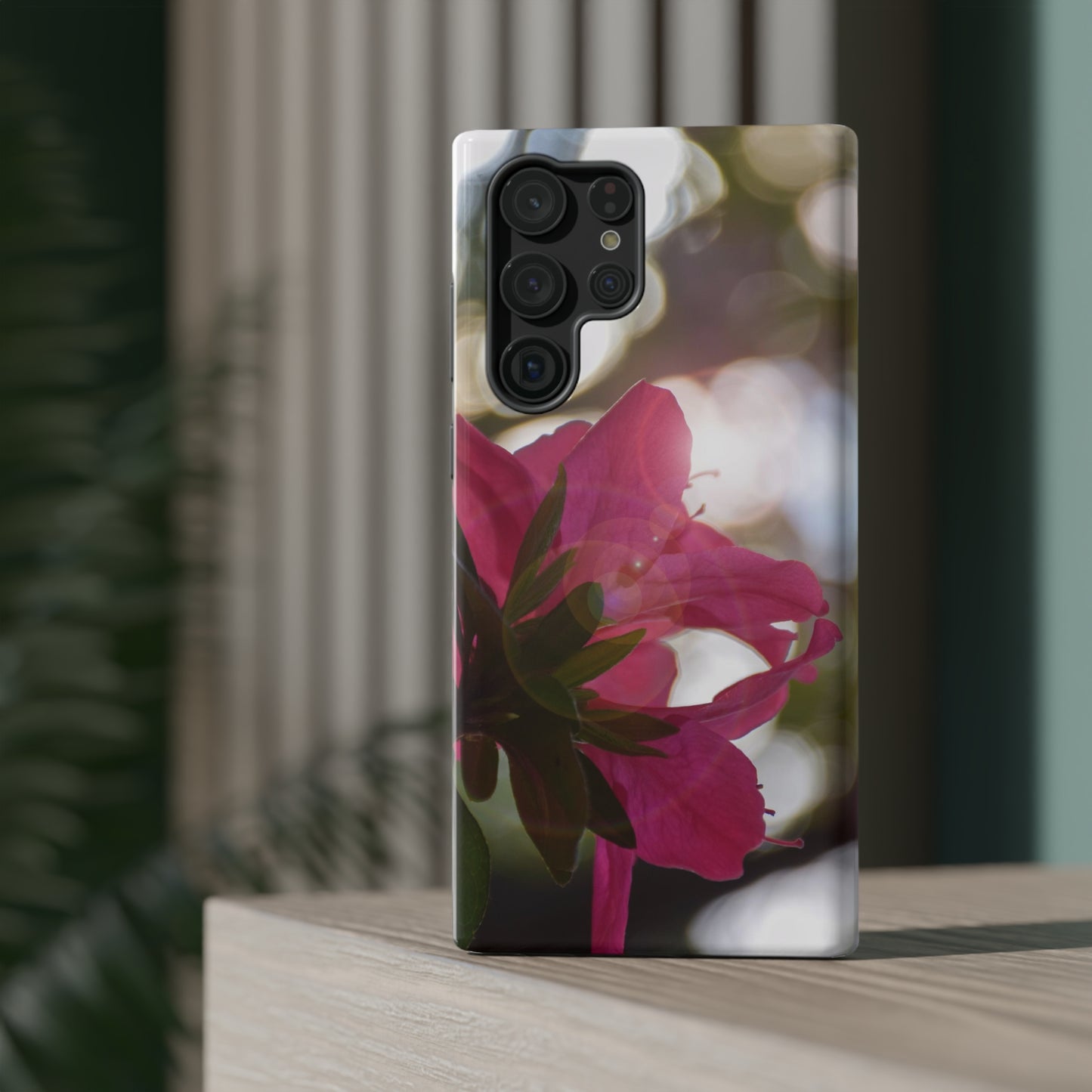 Spring : Impact-Resistant Case