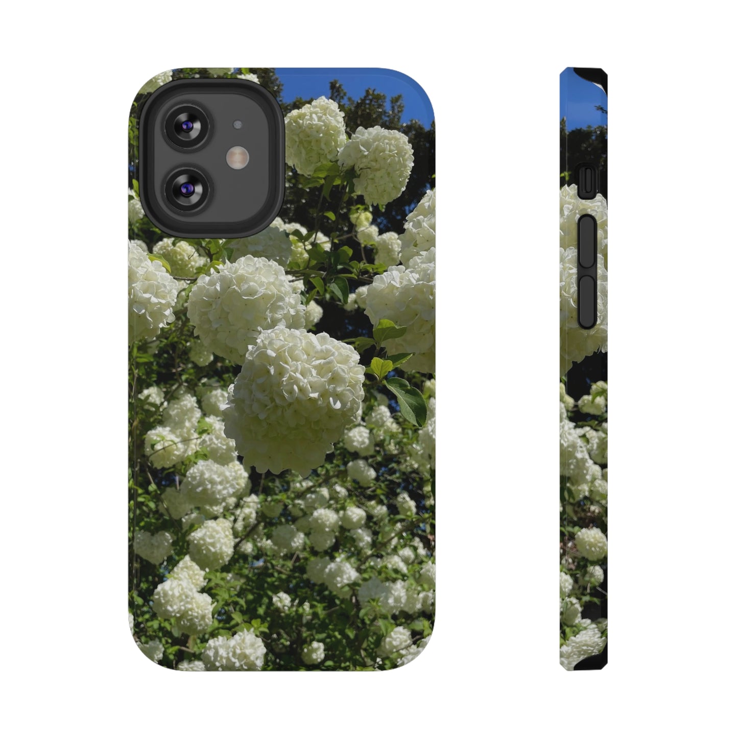 Hydrangea : Impact-Resistant Case