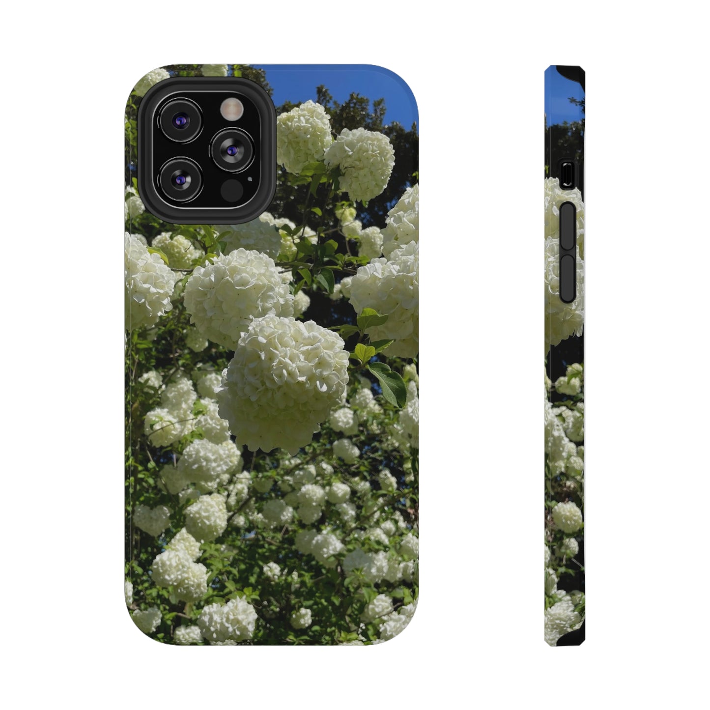 Hydrangea : Impact-Resistant Case